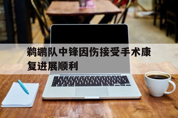关于鹈鹕队中锋因伤接受手术康复进展顺利的信息